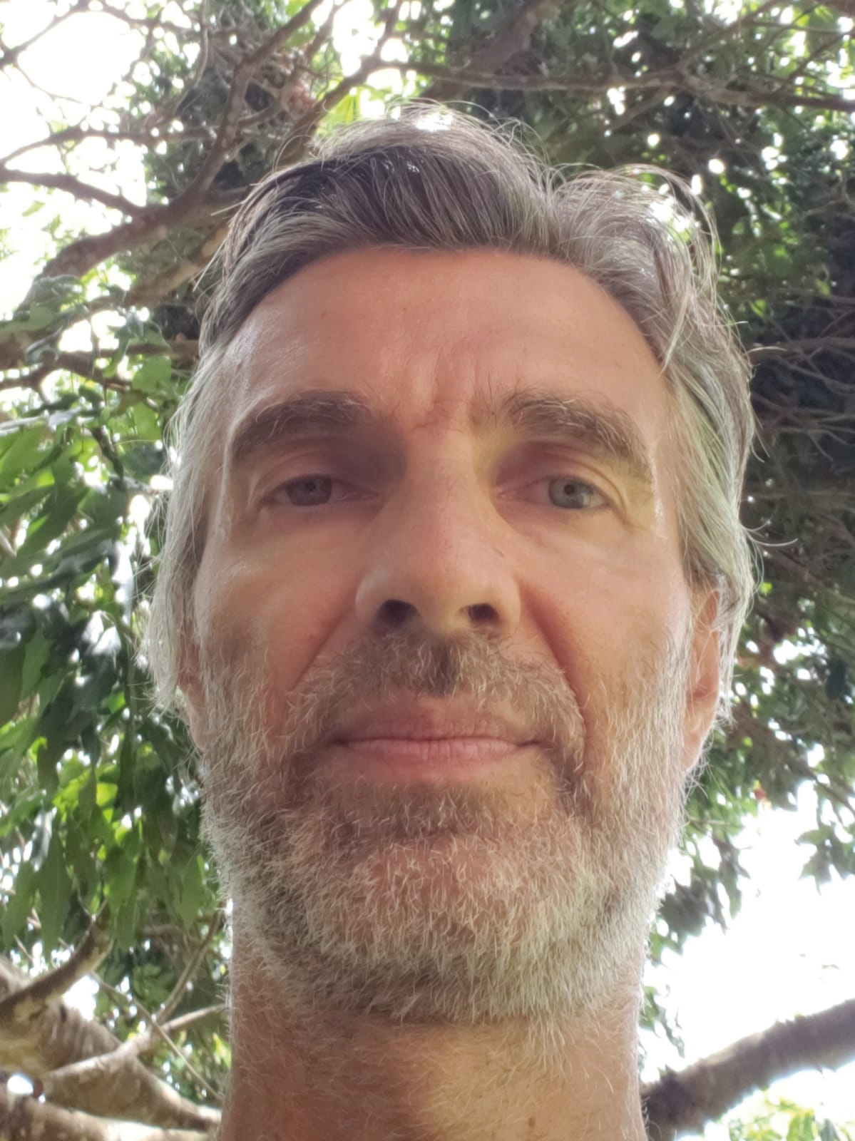 PHD Dr. Ricardo Leme